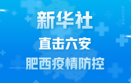 新華社直擊六安、肥西疫情防控