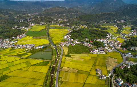 開著汽車看鄉(xiāng)村|大別山中好“豐”景