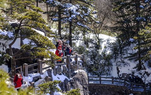 銀裝素裹！黃山春雪分外嬌