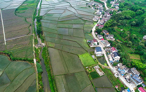 【“飛閱”中國(guó)】夏日田園 綠色畫(huà)卷