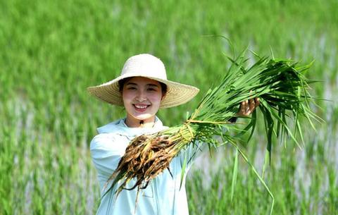 新華全媒+丨“90后”新農人的田園創(chuàng)業(yè)夢