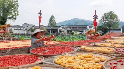 呈坎古村“曬秋圖”