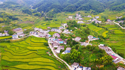 【“飛閱”中國】梯田秋景美如畫