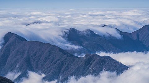 黃山云海 水墨畫境